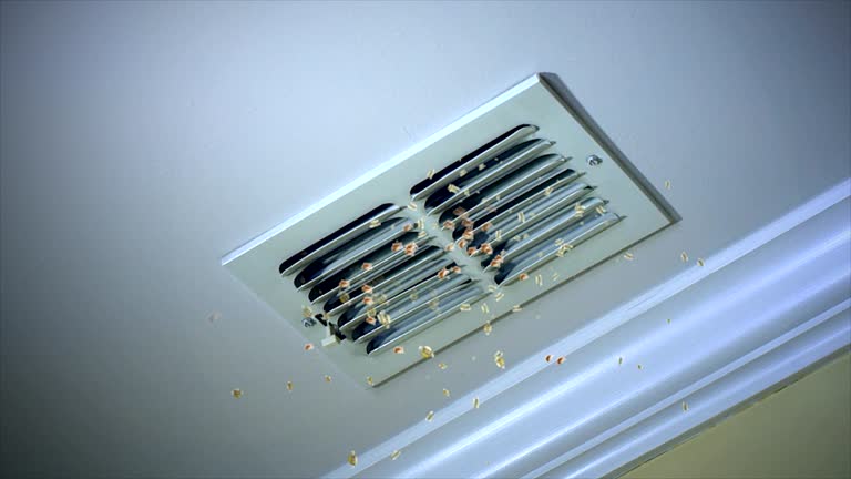 Best Professional Duct Cleaning Services  in Monticello, UT