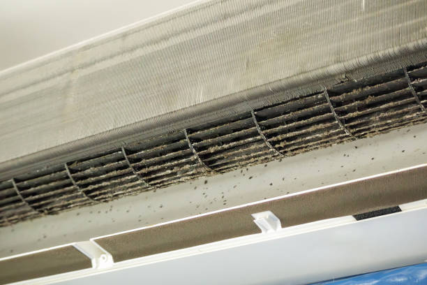 Best Affordable Duct Cleaning Services  in Monticello, UT